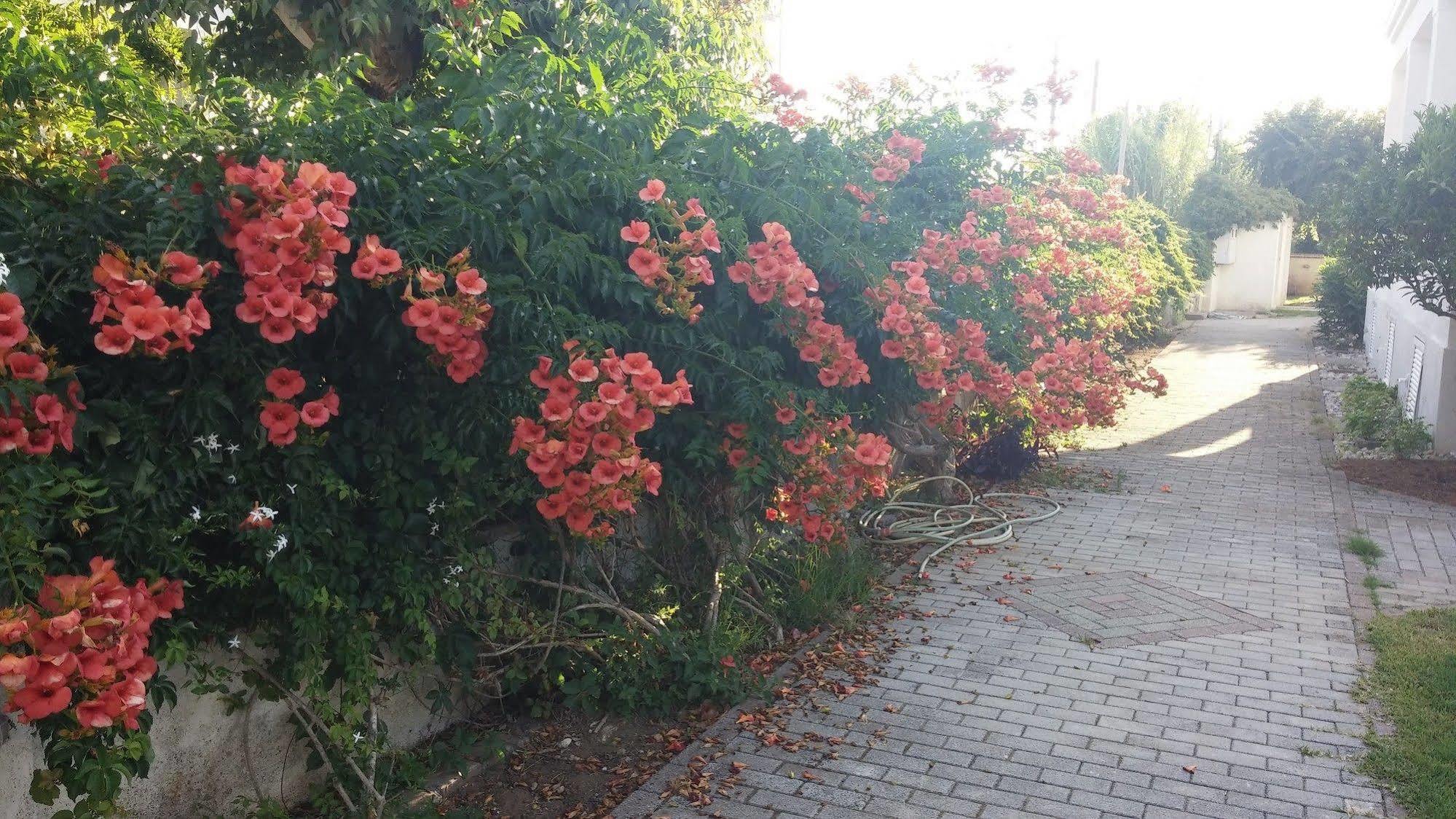 Corfu Anastasia คอนโตกาลิ ภายนอก รูปภาพ