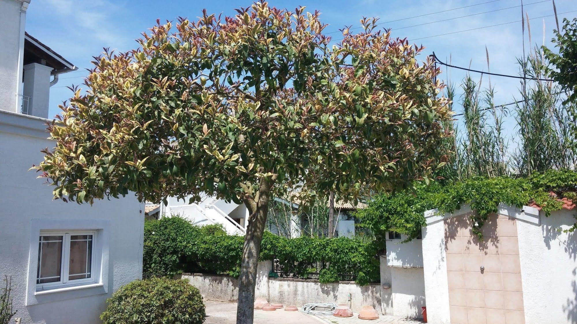 Corfu Anastasia คอนโตกาลิ ภายนอก รูปภาพ